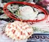 4580 Łańcuszek 46+5 naszyjnik rzemyk celebrytka muszla lato plaża wakacje 